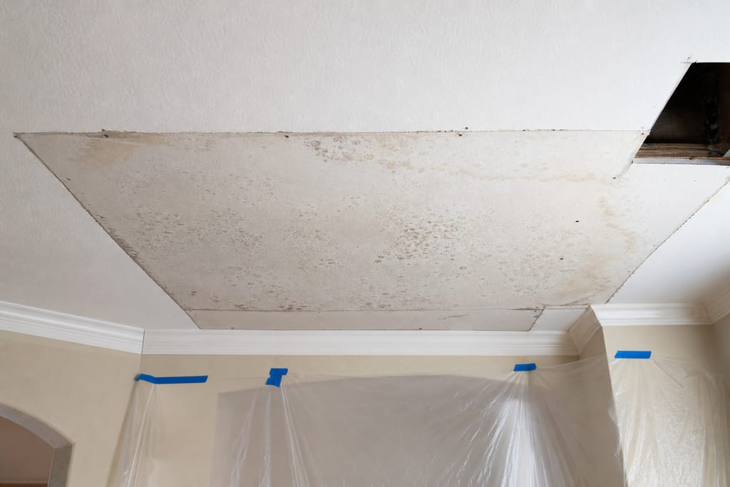Assess board condition photo